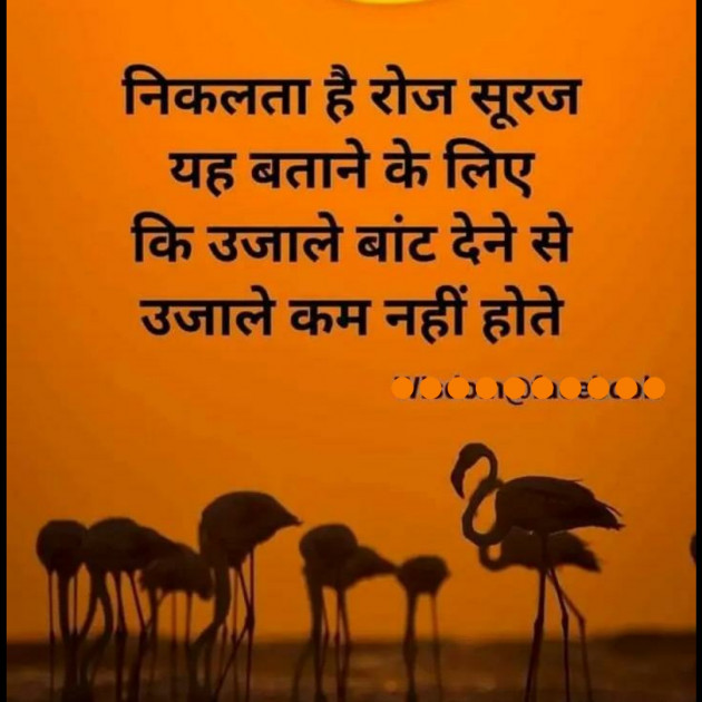 Hindi Quotes by Ramji Ahir : 111344063