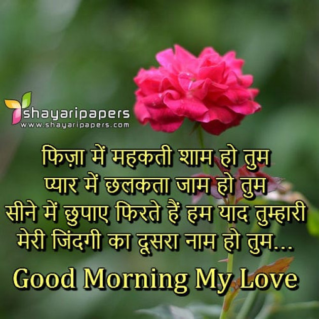 Hindi Good Morning by Vaghela Niya : 111344302