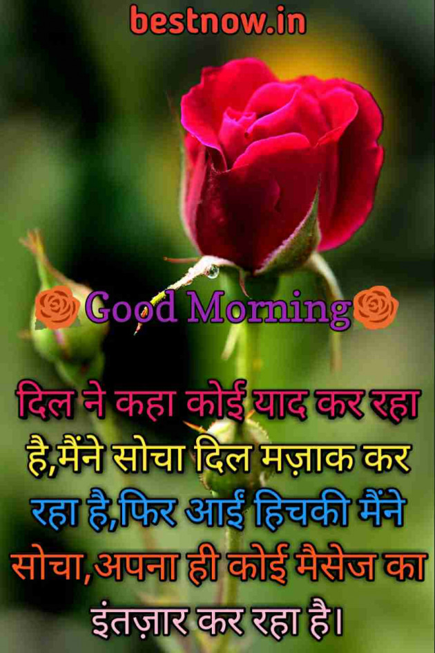Hindi Good Morning by Vaghela Niya : 111344304