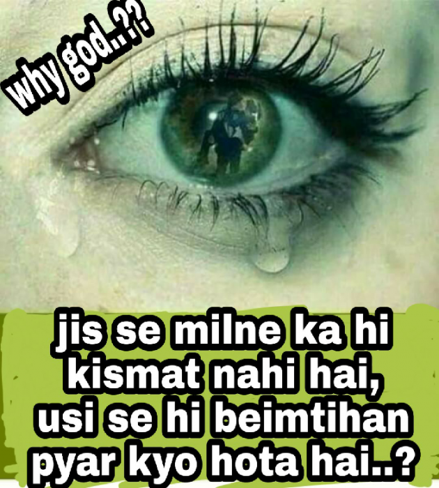English Shayri by Smith Suthar : 111344525