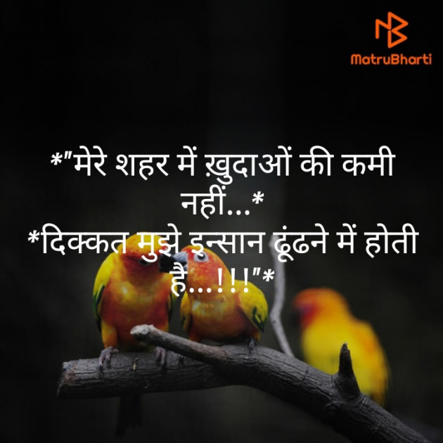 Hindi Whatsapp-Status by Nilam Vithlani : 111344551