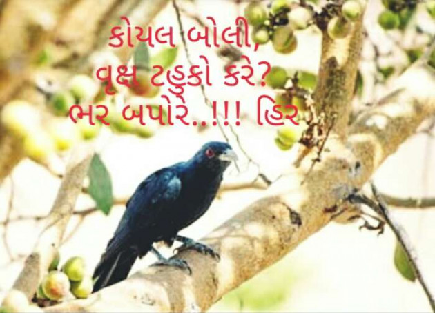 Gujarati Hiku by લાગણીનું ઝરણું : 111344906