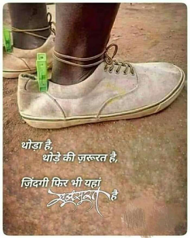 Hindi Blog by Vishal : 111344975