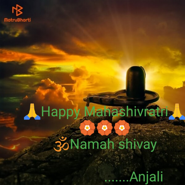 Hindi Blog by Anjali Devre : 111345694
