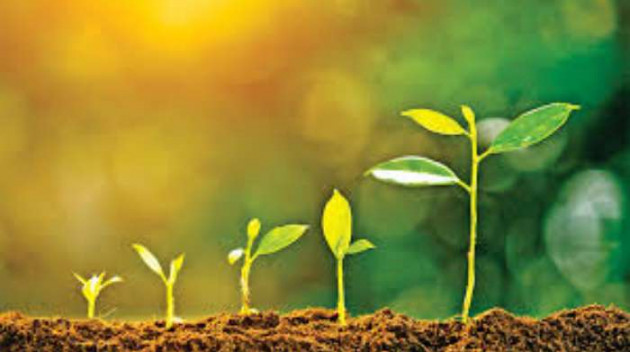 Hindi Blog by Chetan Tanna : 111346587