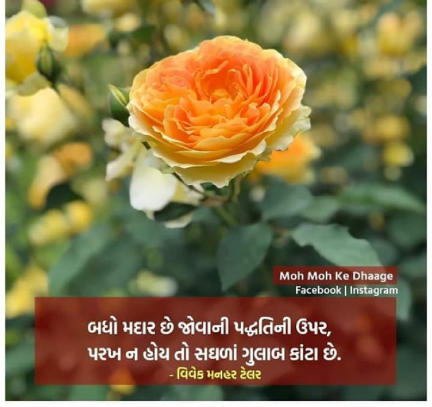 English Shayri by Kirti Sadhu : 111346875