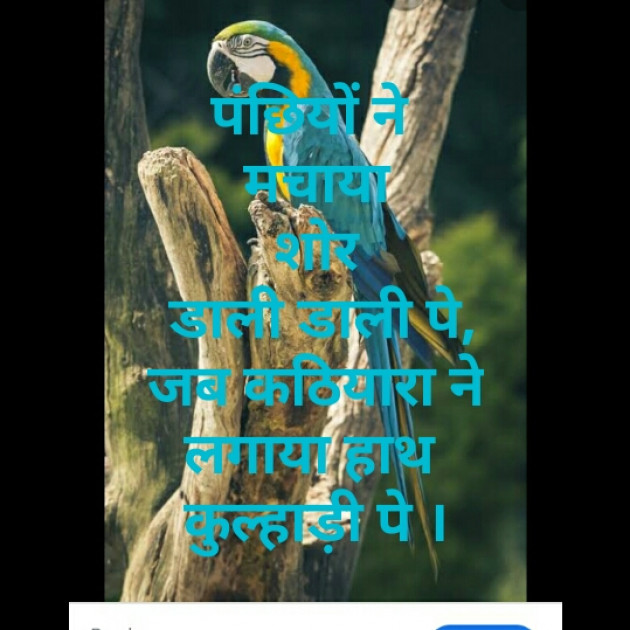 Hindi Blog by Dr. Damyanti H. Bhatt : 111346959
