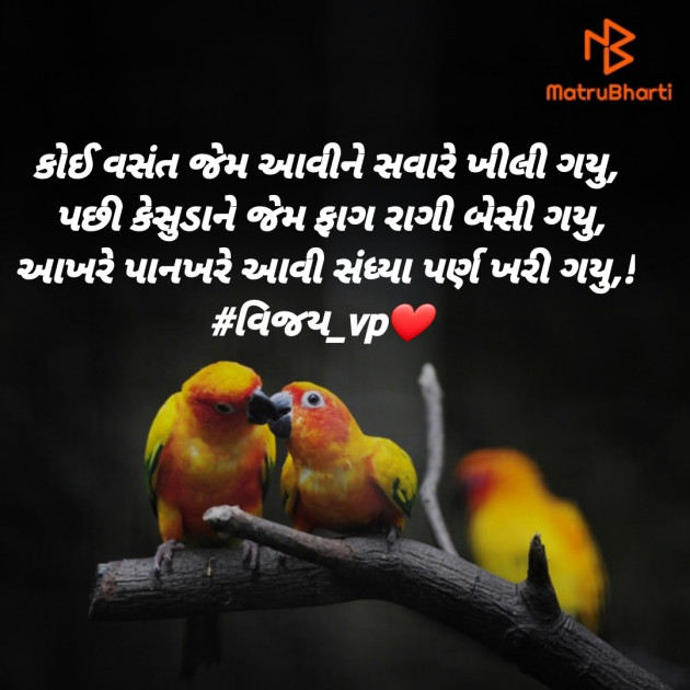 Gujarati Blog by Vijay Prajapati : 111347506