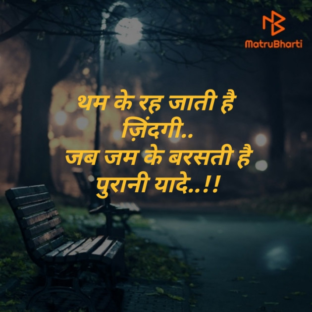 Hindi Blog by Anil Ramavat : 111347939