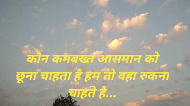 Hindi Blog by Urvashiba : 111347956