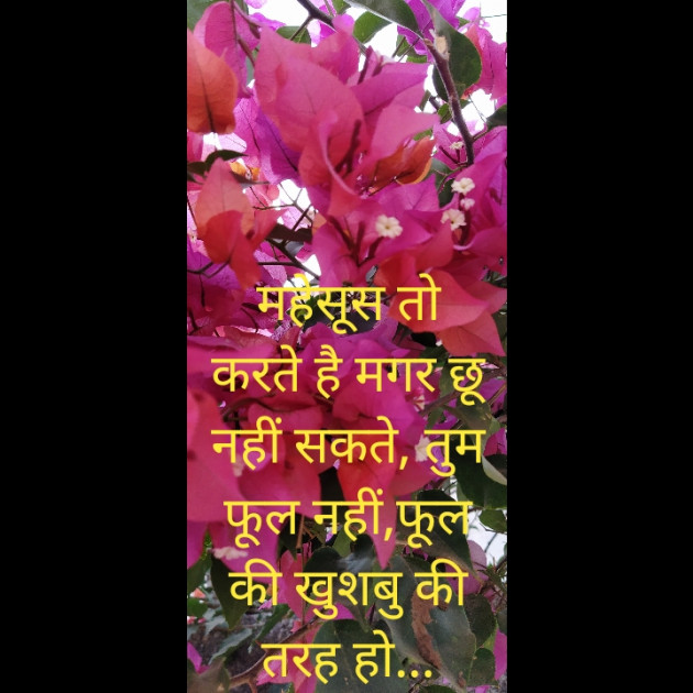 Hindi Blog by Urvashiba : 111347966