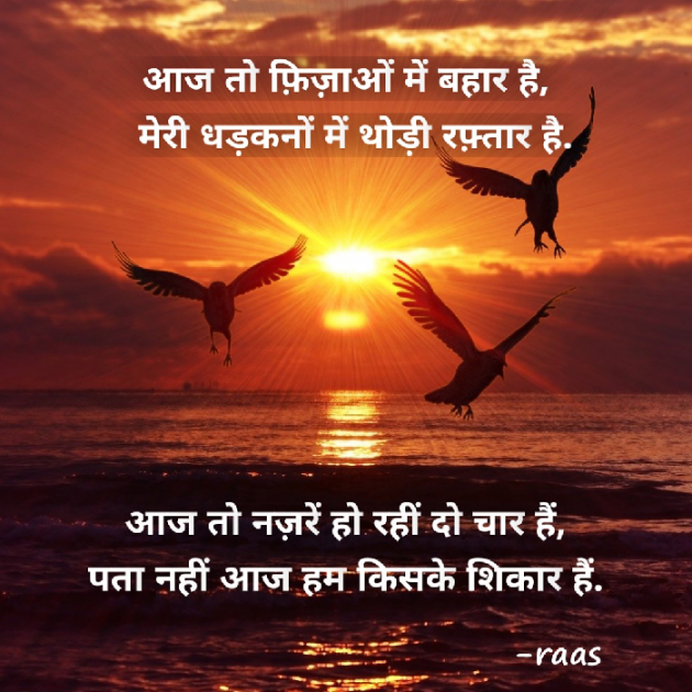 English Shayri by Rashesh Rehi : 111348476