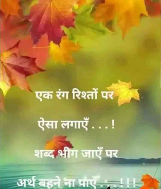 English Shayri by paresh patel : 111348883