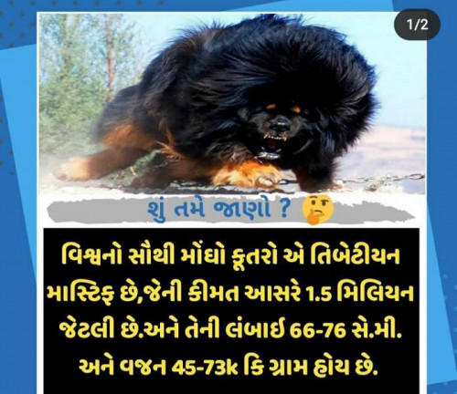 Post by Hardik Lakhani on 27-Feb-2020 10:23am