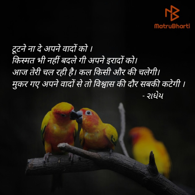Hindi Thought by Radhey : 111348953