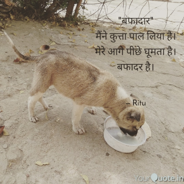 Hindi Blog by Ritu Dubey : 111349658