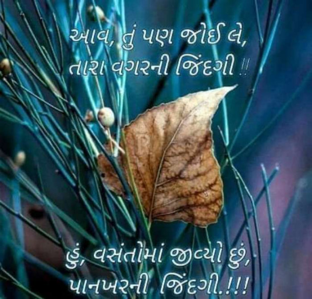 English Shayri by Gautam : 111350094
