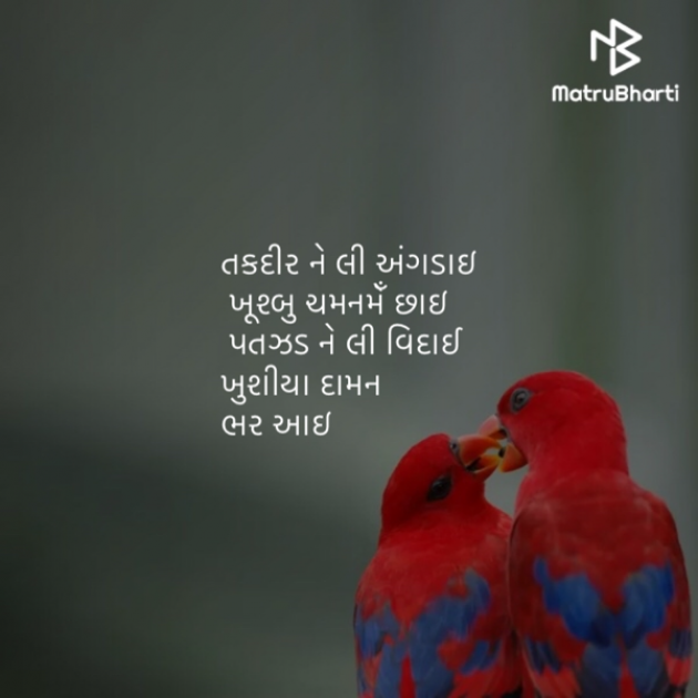 Gujarati Song by Saroj Bhagat : 111350256