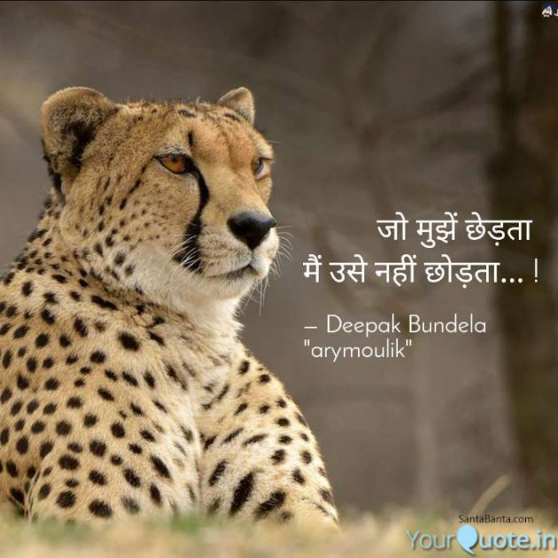Hindi Blog by Deepak Bundela AryMoulik : 111350872