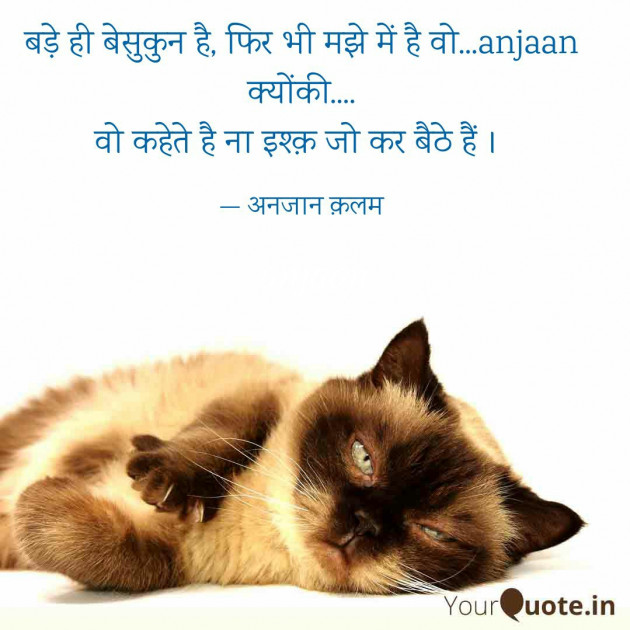 Hindi Blog by अनजान : 111351297