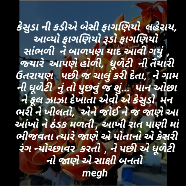 Gujarati Blog by Kothari Megha : 111351313