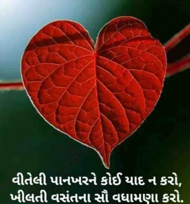 English Shayri by paresh patel : 111351858