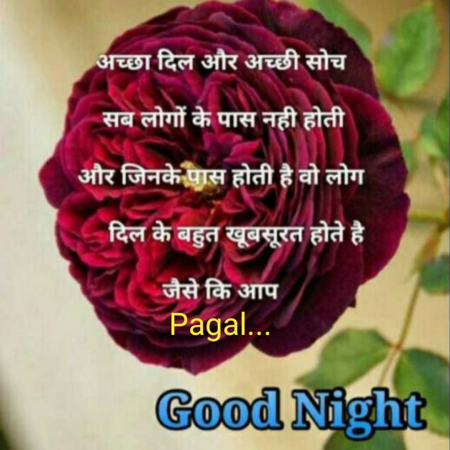 Gujarati Good Night by Manoj Leuva : 111352171