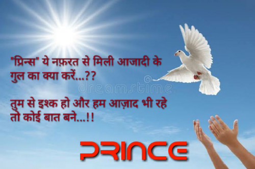 Post by Prince Patel on 03-Mar-2020 09:21am