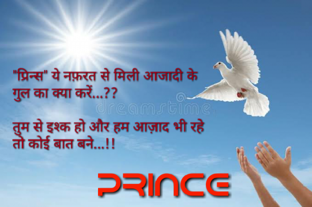Hindi Shayri by Prince Patel : 111352418