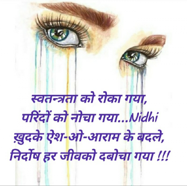 Hindi Blog by Nidhi_Nanhi_Kalam_ : 111352465