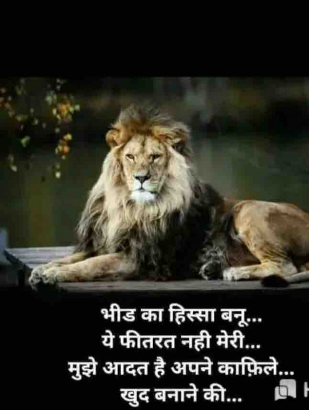 English Shayri by paresh patel : 111352658