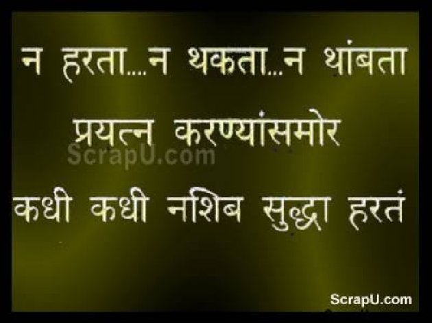 Hindi Quotes by The Legends Lover : 111353387