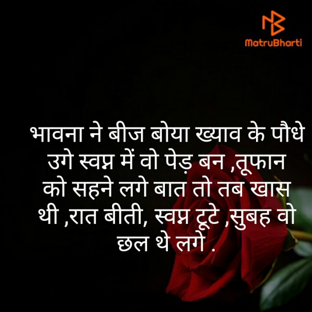 Hindi Blog by Ruchi Dixit : 111354073