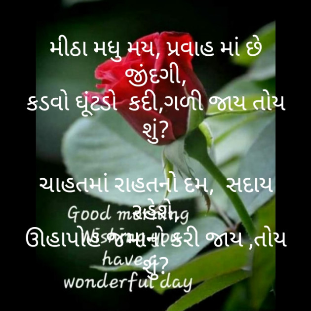 Gujarati Poem by મોહનભાઈ આનંદ : 111354236