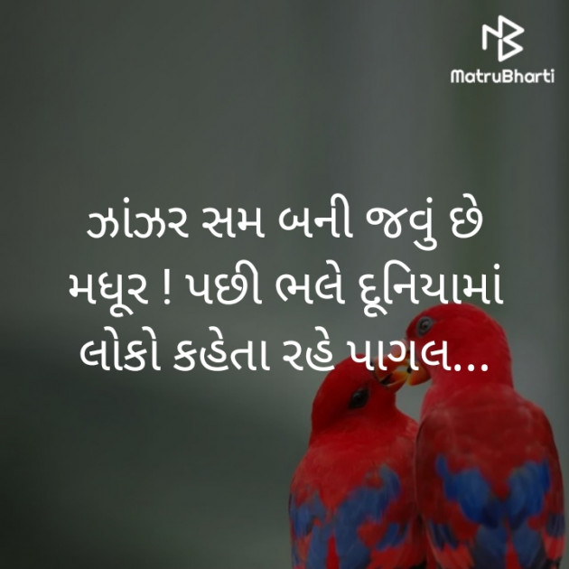 Gujarati Whatsapp-Status by Himmat Nadiya : 111354474