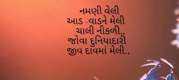 Gujarati Hiku by Rathod Ranjan : 111354962