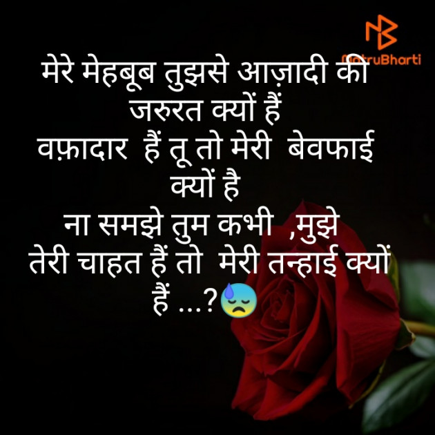 Hindi Blog by Monty Khandelwal : 111355242