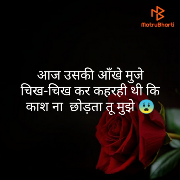 Hindi Blog by Monty Khandelwal : 111355524