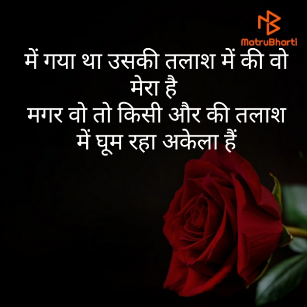 Hindi Blog by Monty Khandelwal : 111355532
