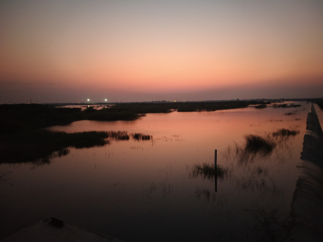 Hindi Blog by SMChauhan : 111358060
