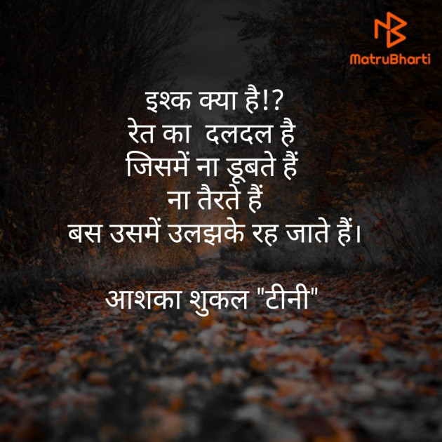 Hindi Blog by Ashka Shukal : 111358124