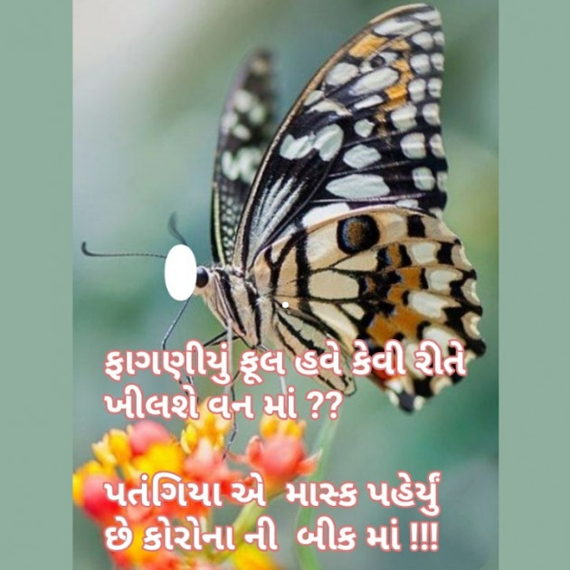 Gujarati Whatsapp-Status by પારૂલ ઠક્કર... યાદ : 111359145