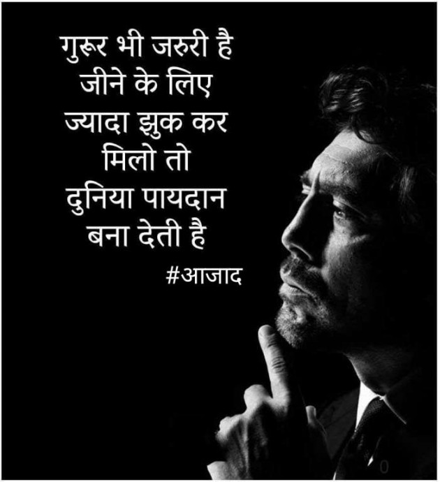 Hindi Blog by संजय कुमार दवे : 111359773