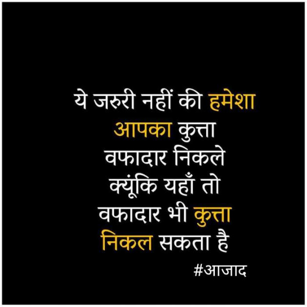 Hindi Blog by संजय कुमार दवे : 111359834