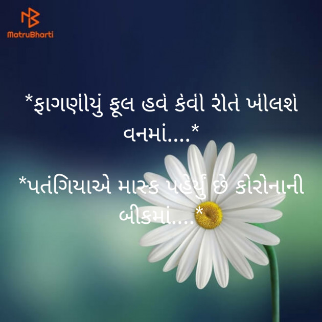 Gujarati Shayri by sagar khorashiya : 111360331