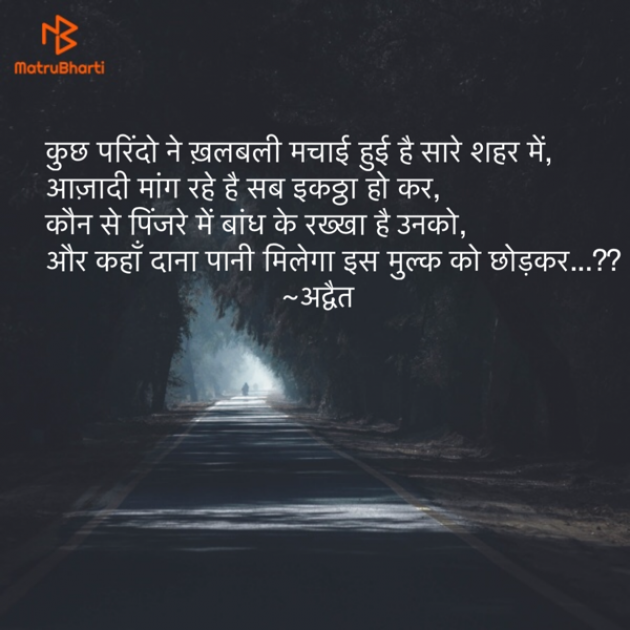 Hindi Blog by Himanshu Patel : 111361383