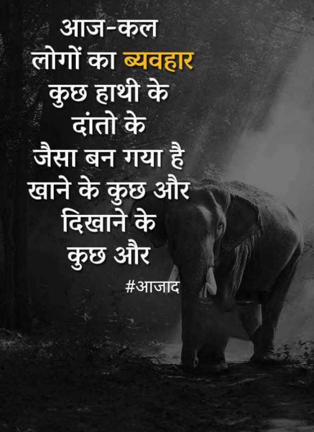 Hindi Blog by संजय कुमार दवे : 111362019