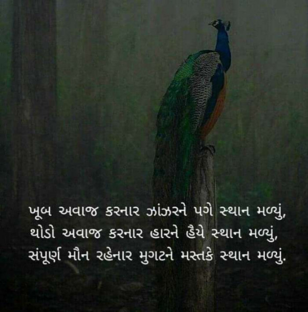 Gujarati Good Night by Rathod Ranjan : 111362391