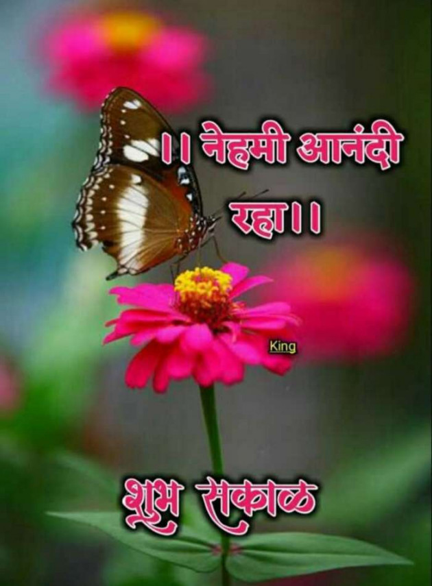 Marathi Good Morning by मच्छिंद्र माळी : 111362862