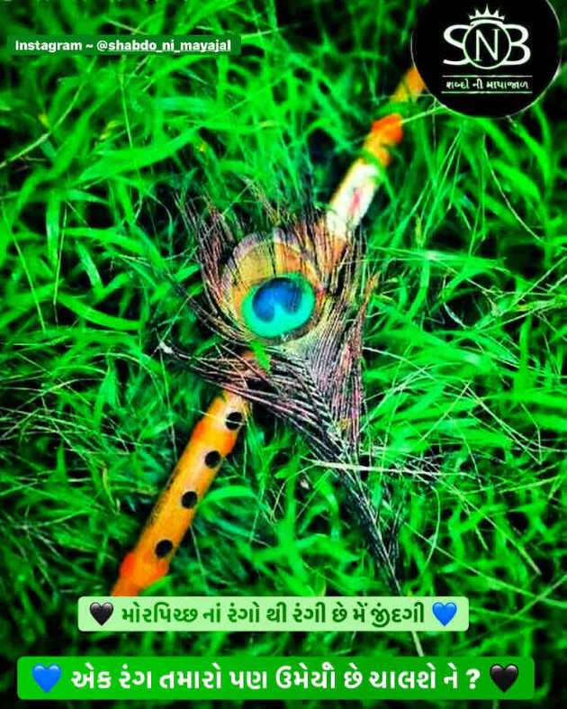 Gujarati Quotes by shabdo ni mayajal : 111363114